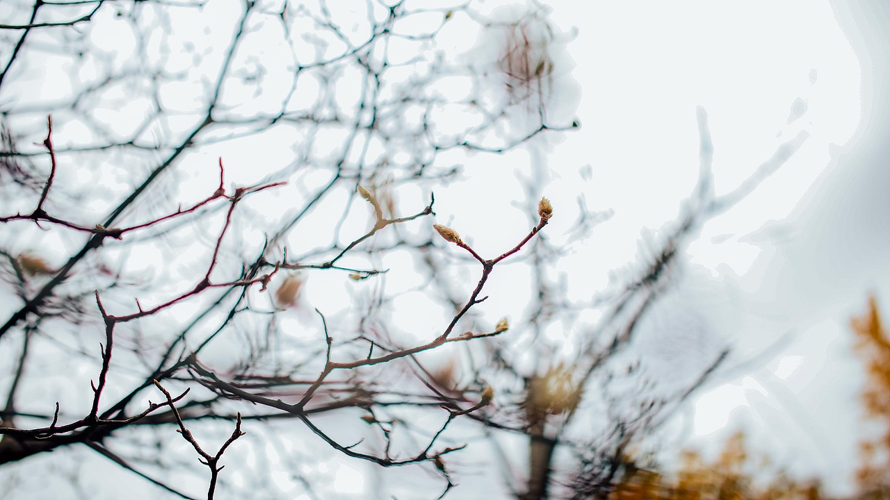 “义乌秋色”-雪峰公园