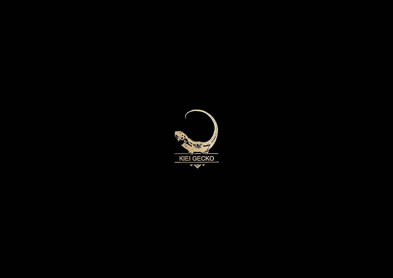 W先生logo设计实验室（图ZMTI2NDMyNzg0） - Logo - 站酷设计师W先生设计原创素材 - 站酷ZCOOL