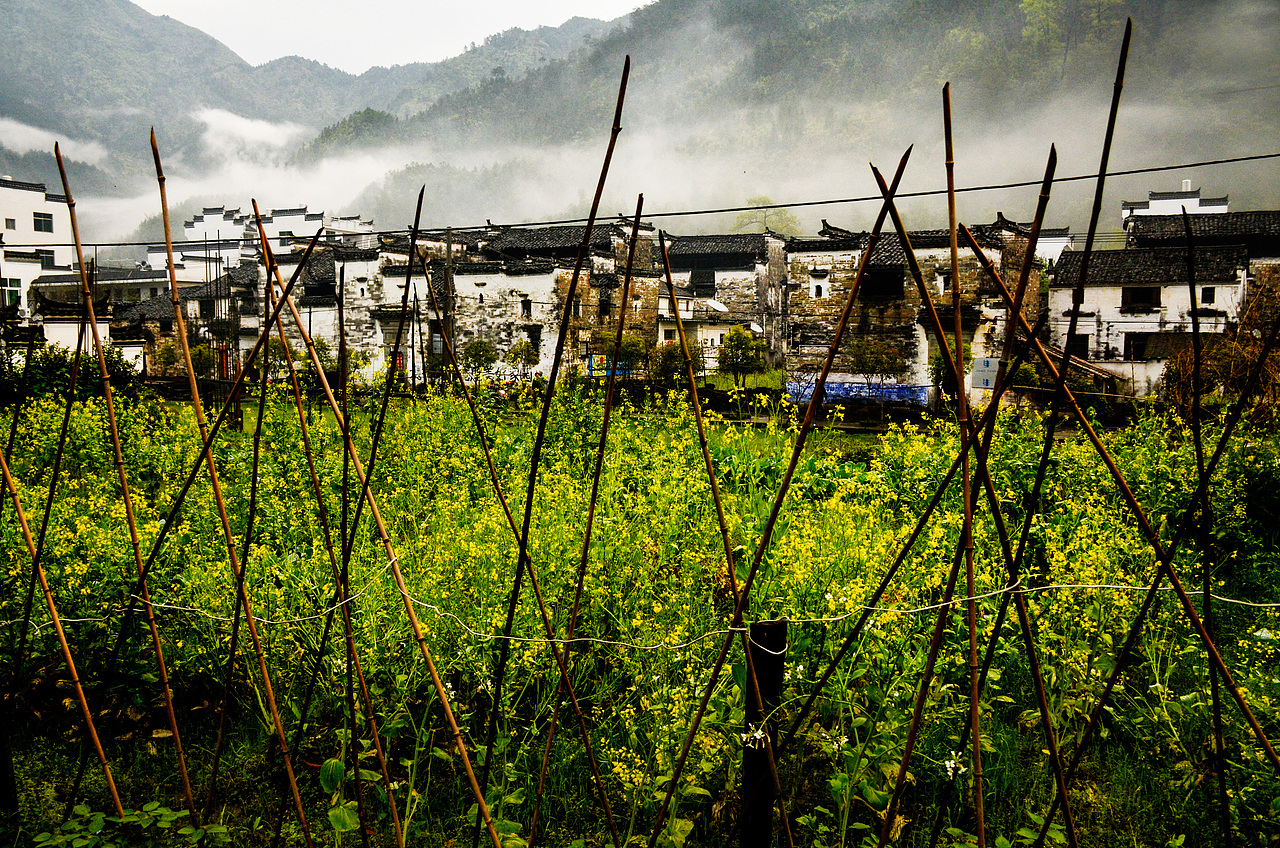 婺源（图ZMjcxOTI0NDg=） - 风光摄影 - 站酷设计师桔子供销社原创素材 - 站酷ZCOOL