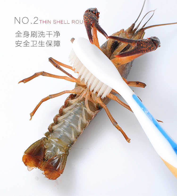 一个食品类麻辣小龙虾无线端页面摄影 简约风格首页详情页设计制作 以及文案策划