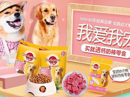 狗粮海报