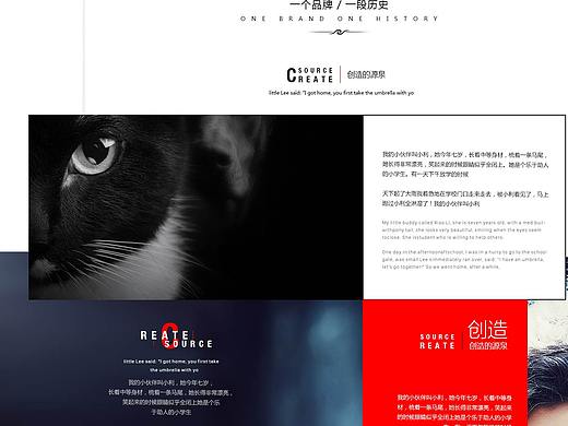 公司官网部分