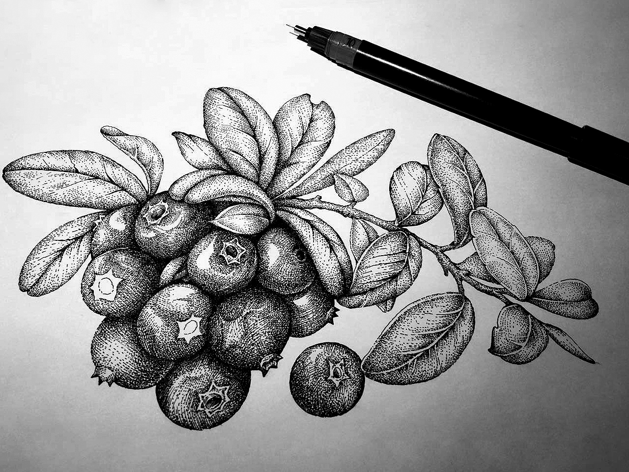 茶野品牌包装插画设计（图ZMjc3NDgwMTA0） - 商业插画 - 站酷设计师张贇ILLUSTRATION原创素材 - 站酷ZCOOL