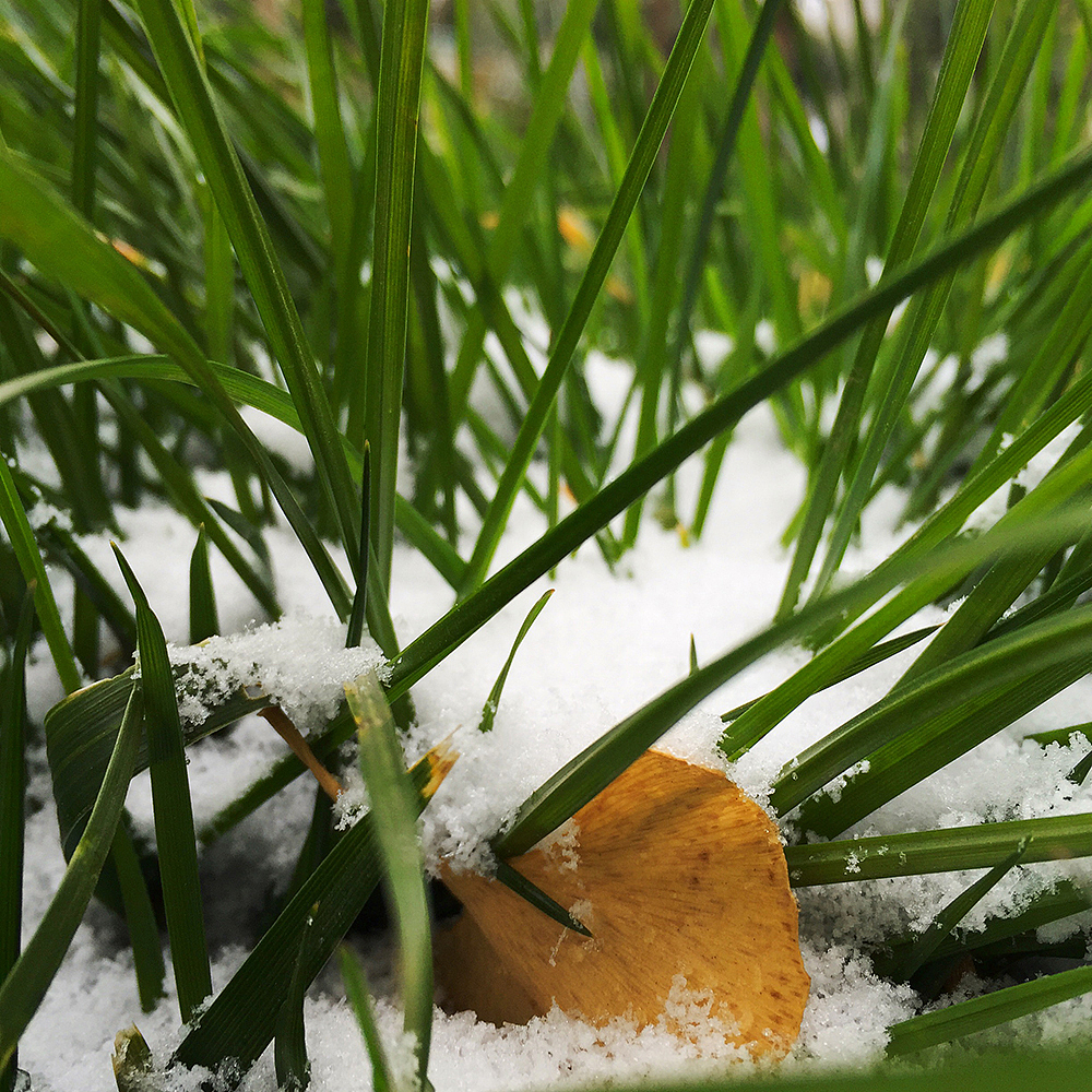 手机随拍，记录生活点滴（肆）