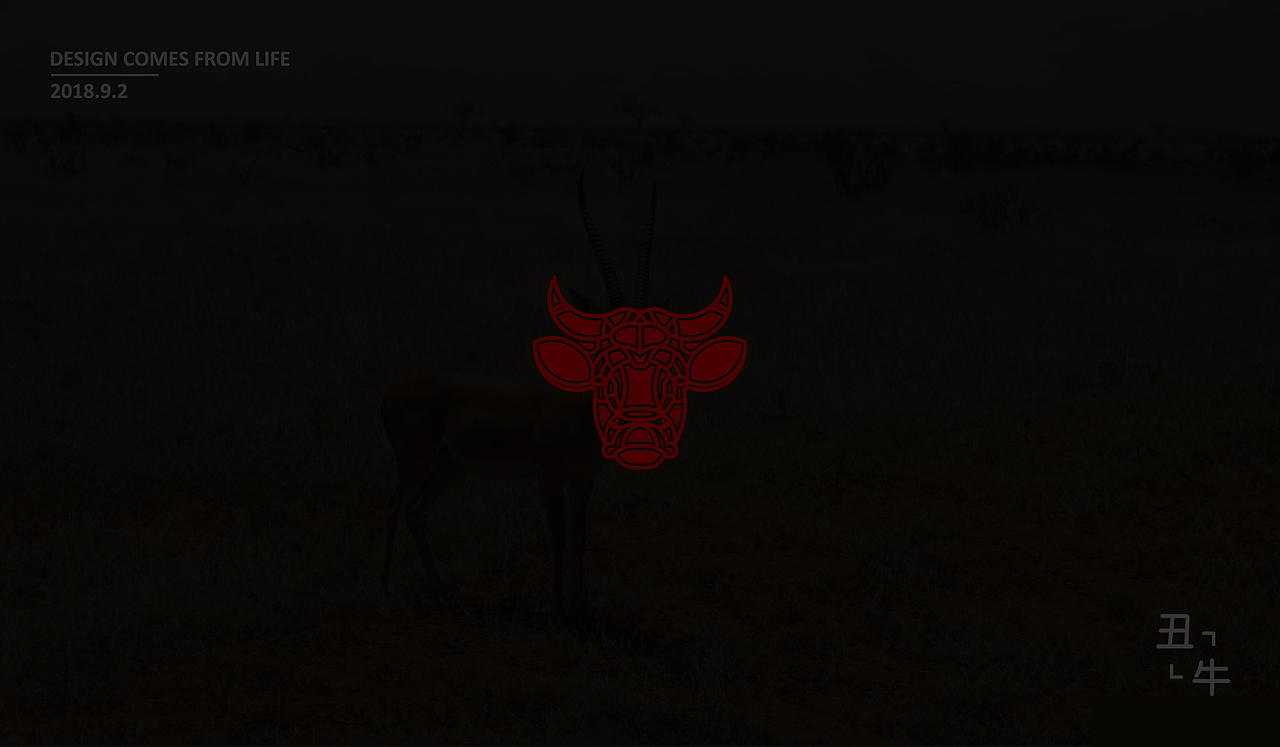 十二生肖系列图案设计