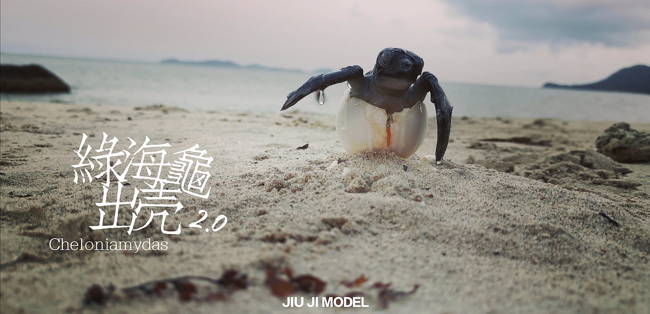 究极model-绿海龟出壳2.0