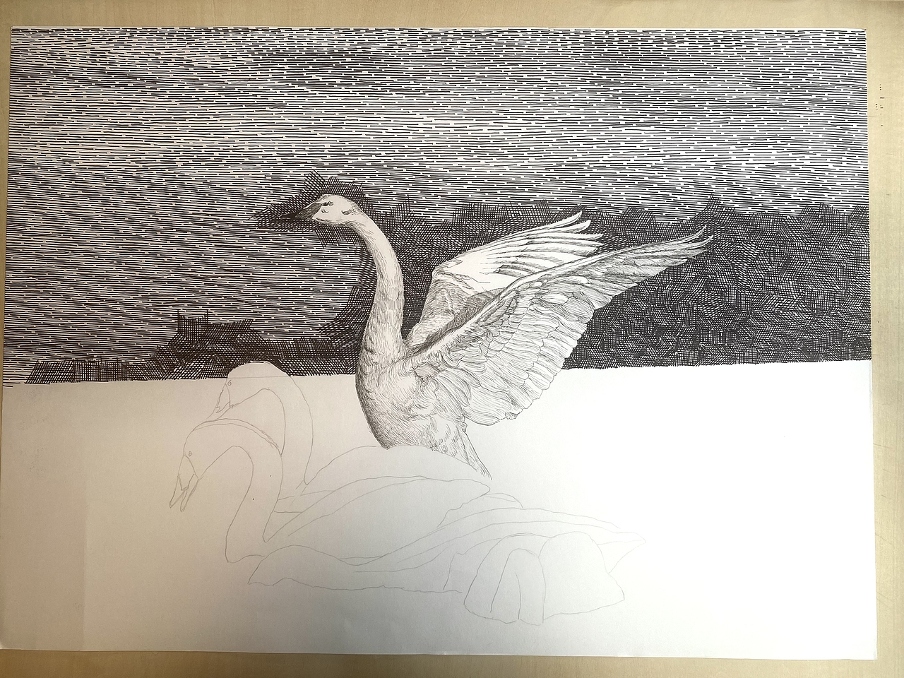 钢笔画《五朵金花》（图ZMzU4NTc3Mzgw） - 绘画 - 站酷设计师哲艺原创素材 - 站酷ZCOOL