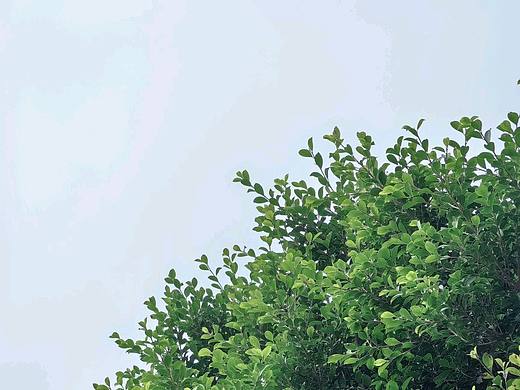 生机盎然
