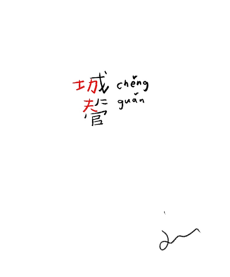 城管，一直都很火，今年尤甚；城管，为中国功夫代言……