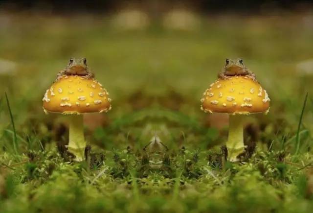 涼沉的個(gè)人主頁（背景預(yù)覽） - 主頁背景設(shè)置 - 站酷設(shè)計(jì)師涼沉原創(chuàng)素材 - 站酷ZCOOL