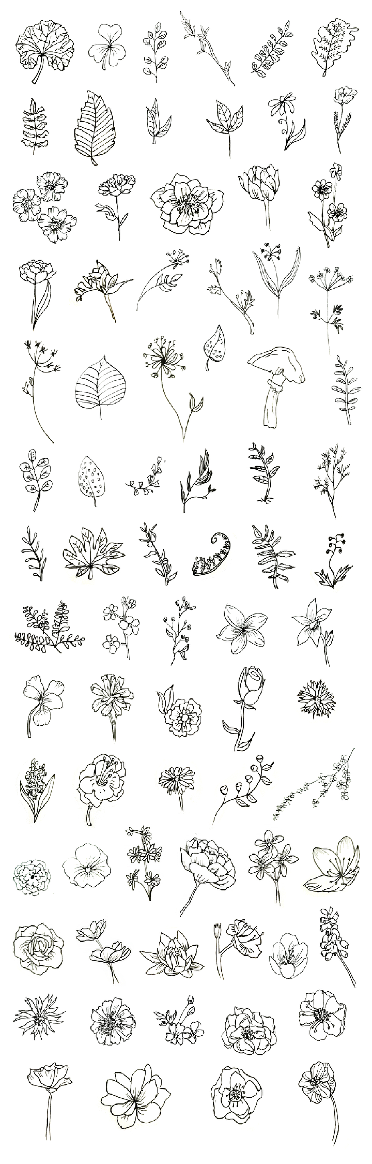 花卉简笔画