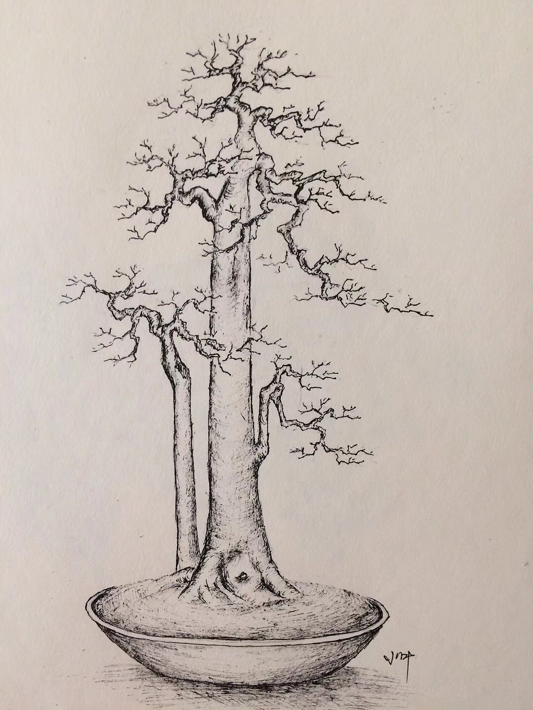 手绘盆景设计图