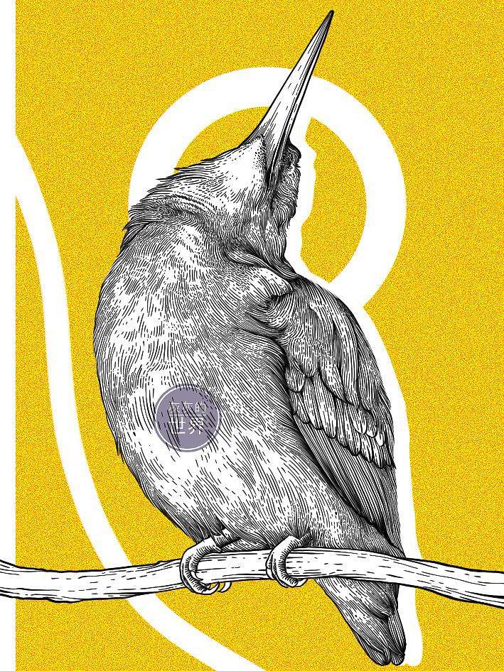 《自然之歌》-百鸟齐鸣节选（更新中）（图ZMzM1MDQ1Nzgw） - 艺术插画 - 站酷设计师灰灰的世界原创素材 - 站酷ZCOOL