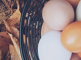 农产品banner【摸鱼20190416】