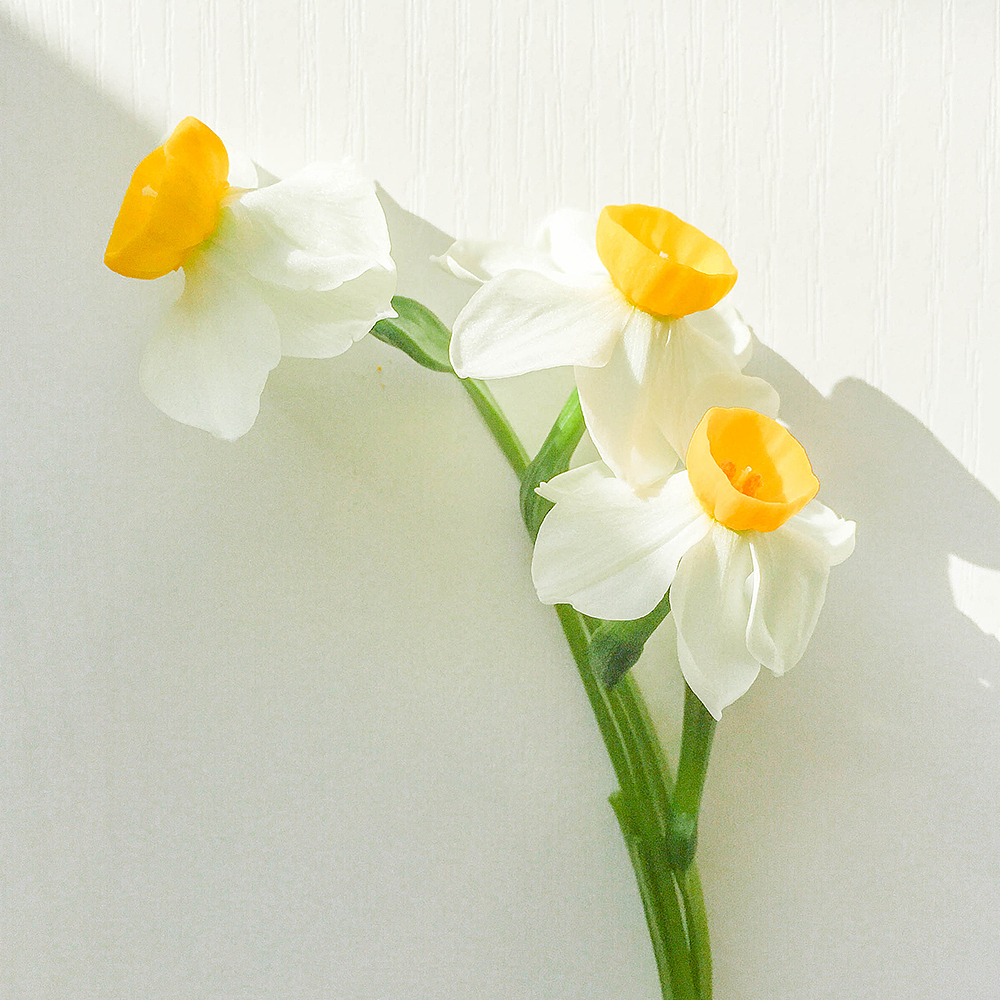 手机随拍,记录生活点滴(肆)