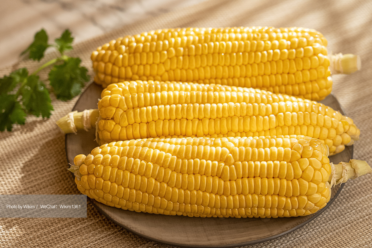 玉米食材拍摄美食摄影