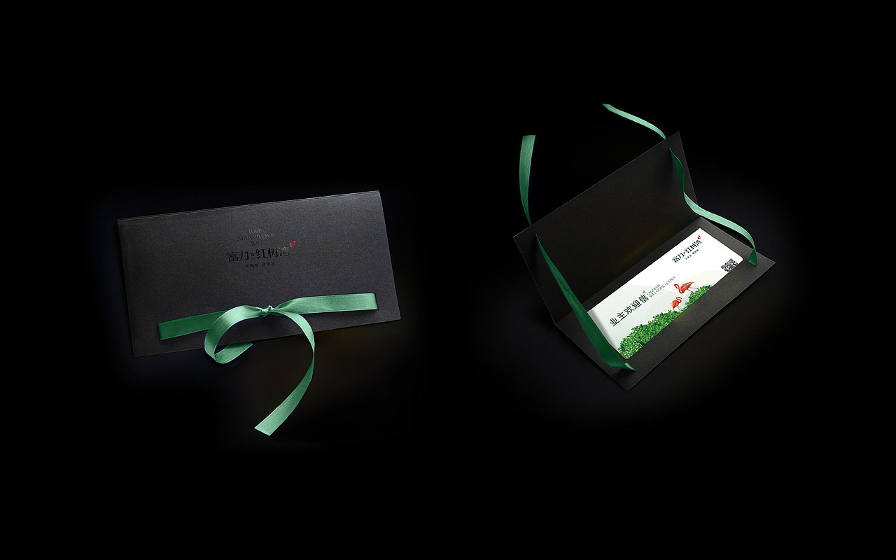 海南富力红树湾视觉