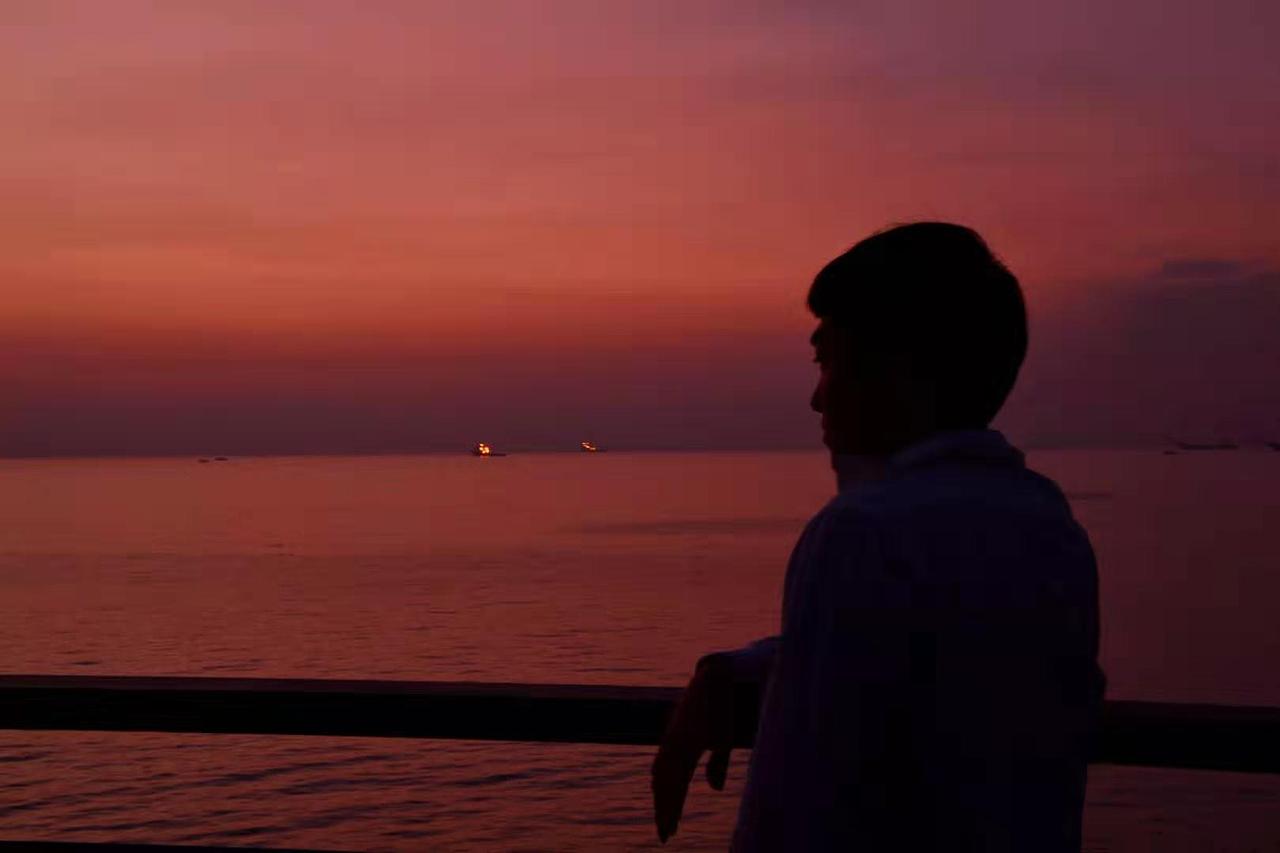 梦里花落知多少