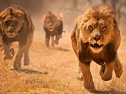 最近做的旅游 微信廣告圖