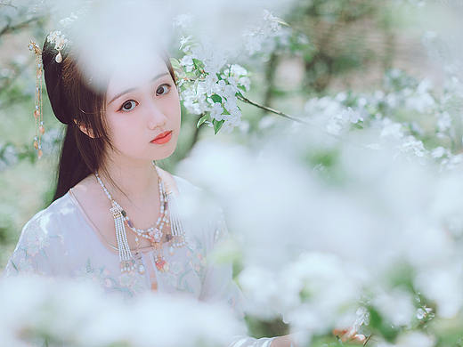 梨花陌上采 良人应犹在