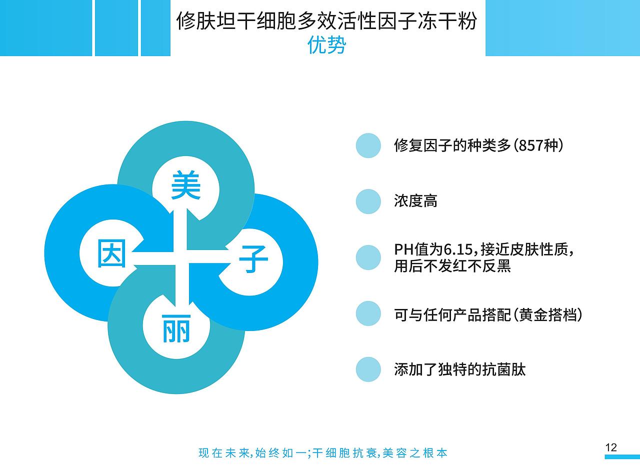 宣传手册（图ZMTUwMDg1MjI0） - 宣传物料 - 站酷设计师yyf若愚原创素材 - 站酷ZCOOL