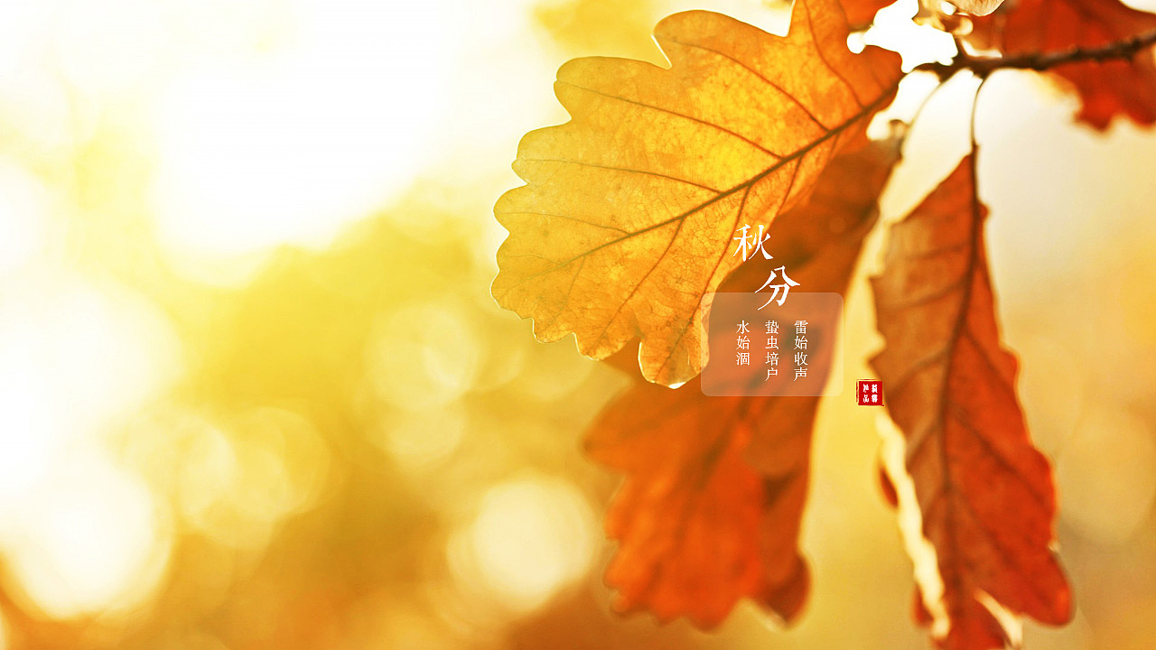 二十四节气（图ZMTg3MTAwMjQ=） - 其他平面 - 站酷设计师洛帆原创素材 - 站酷ZCOOL
