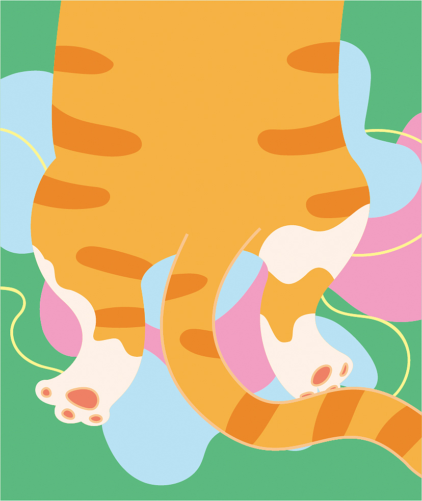 喵主子和铲屎官日常