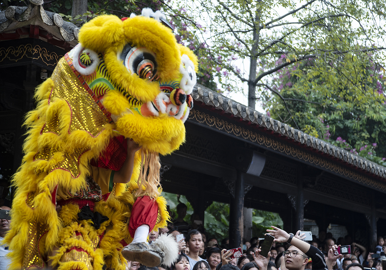 佛山 醒狮（图ZMTk3NzkyNDYw） - 风光摄影 - 站酷设计师道小姑原创素材 - 站酷ZCOOL