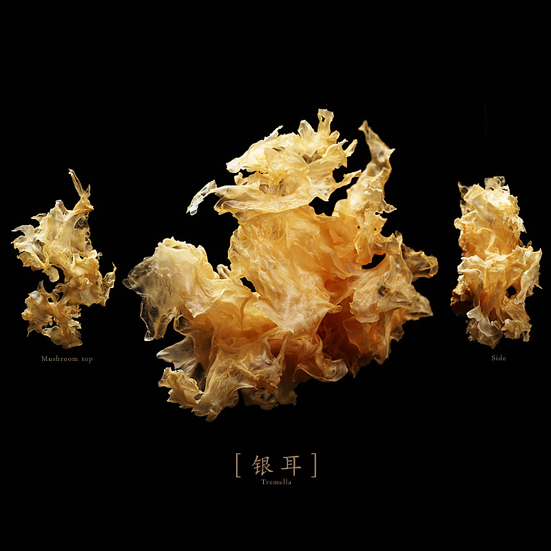 蘑菇星球-蘑菇干品摄影（图ZMTE4NDU3MTI=） - 产品摄影 - 站酷设计师菜男原创素材 - 站酷ZCOOL