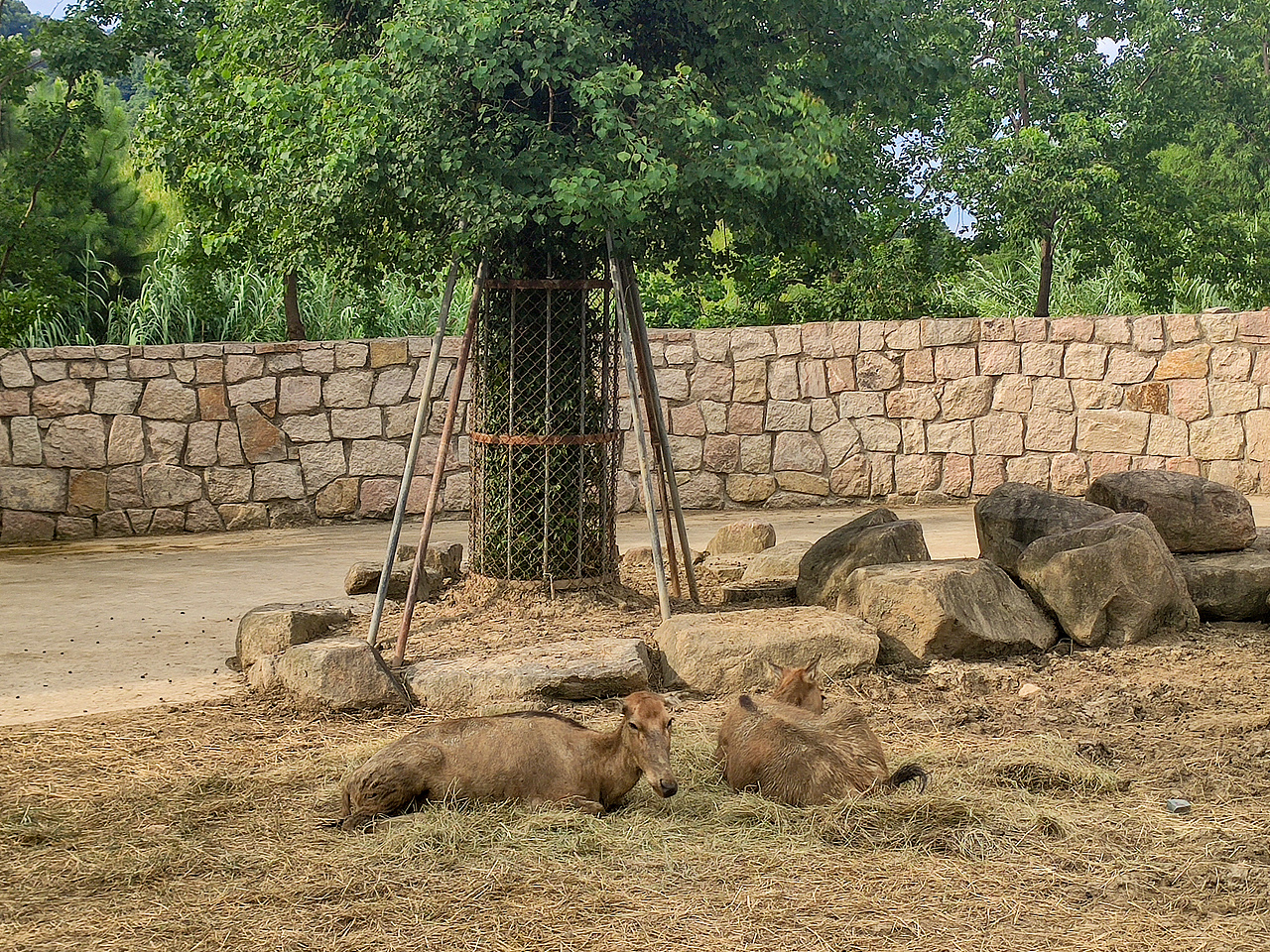 苏州上方动物园