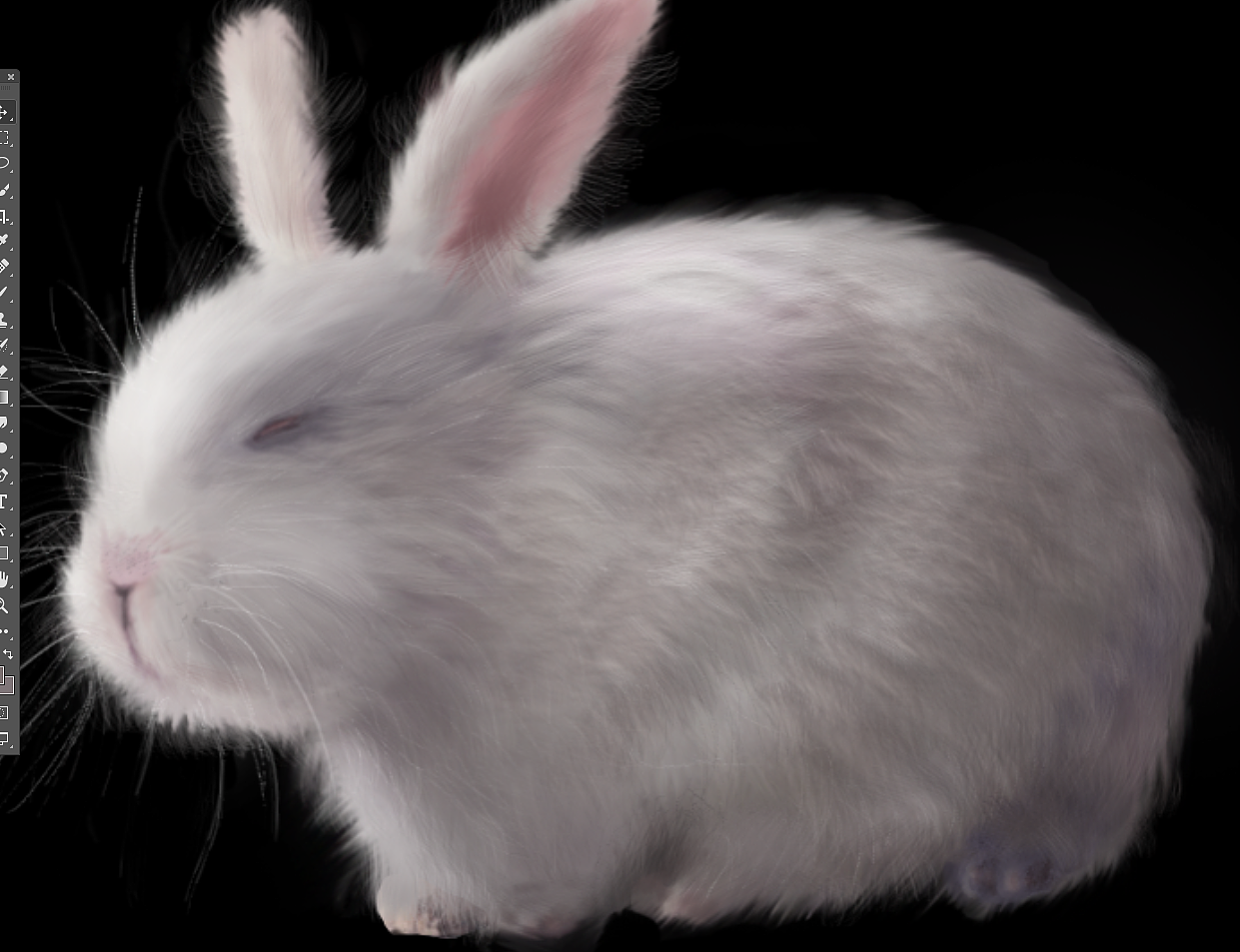 ps绘制超写实动物毛发 兔子