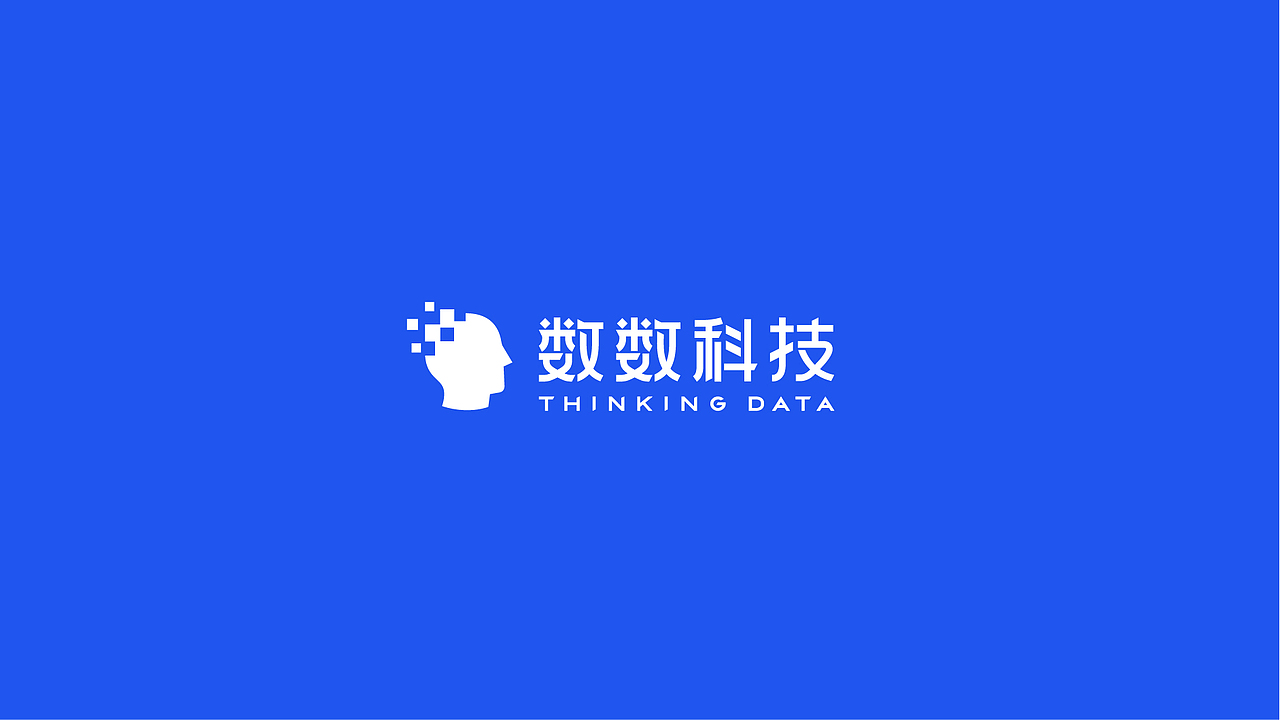科技数据公司品牌优化设计