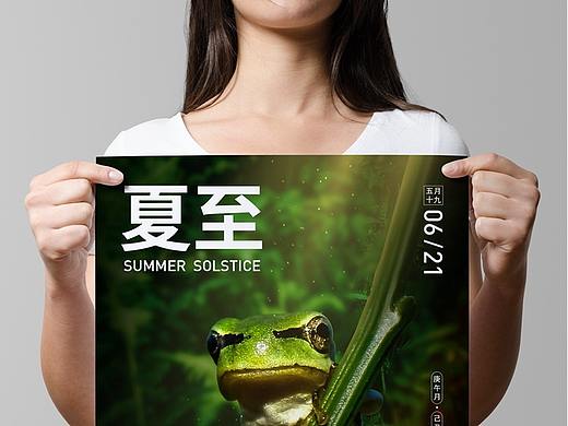 夏至节气海报