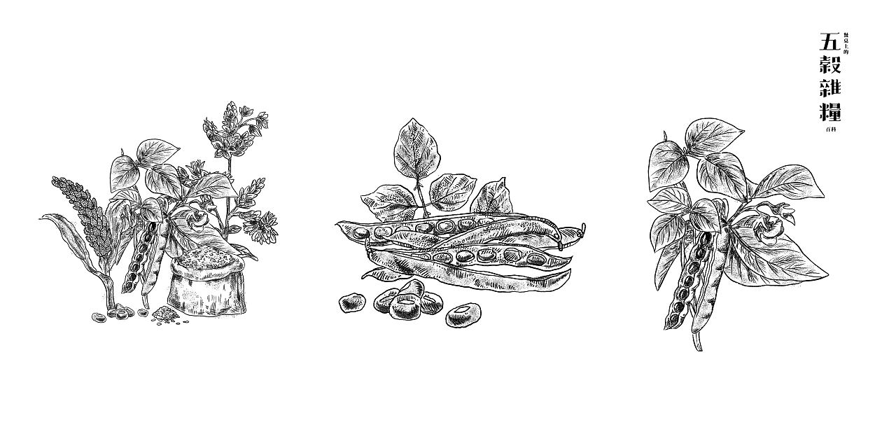 五谷杂粮-节约粮食