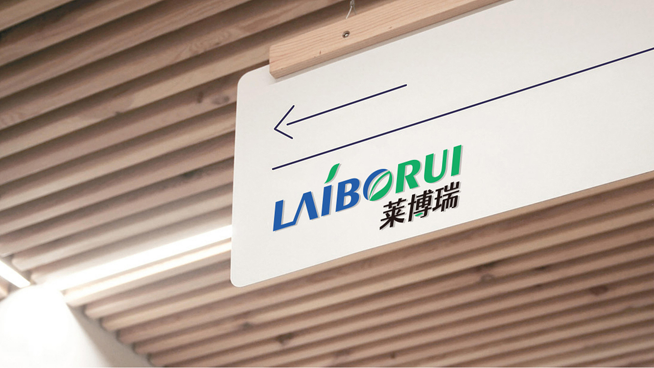 【瑞咖/品牌全案】莱博瑞 | 莱博瑞科技 超越未来