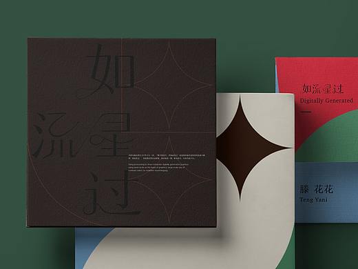 如流星过 | 数字生成图形