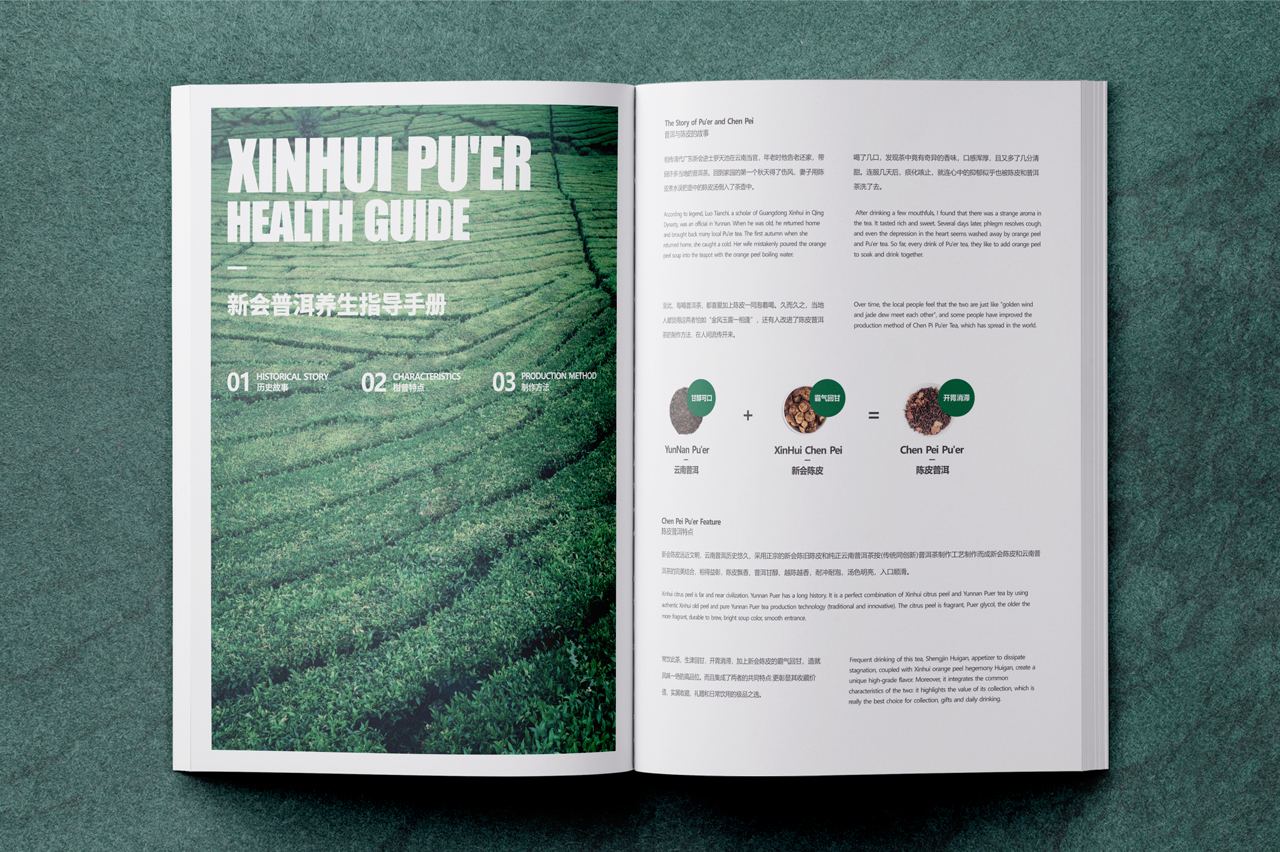 新会普洱养生手册 | 茶叶画册提案