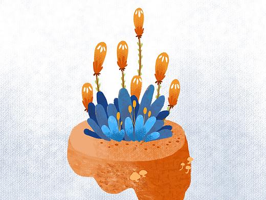 植物插画练习