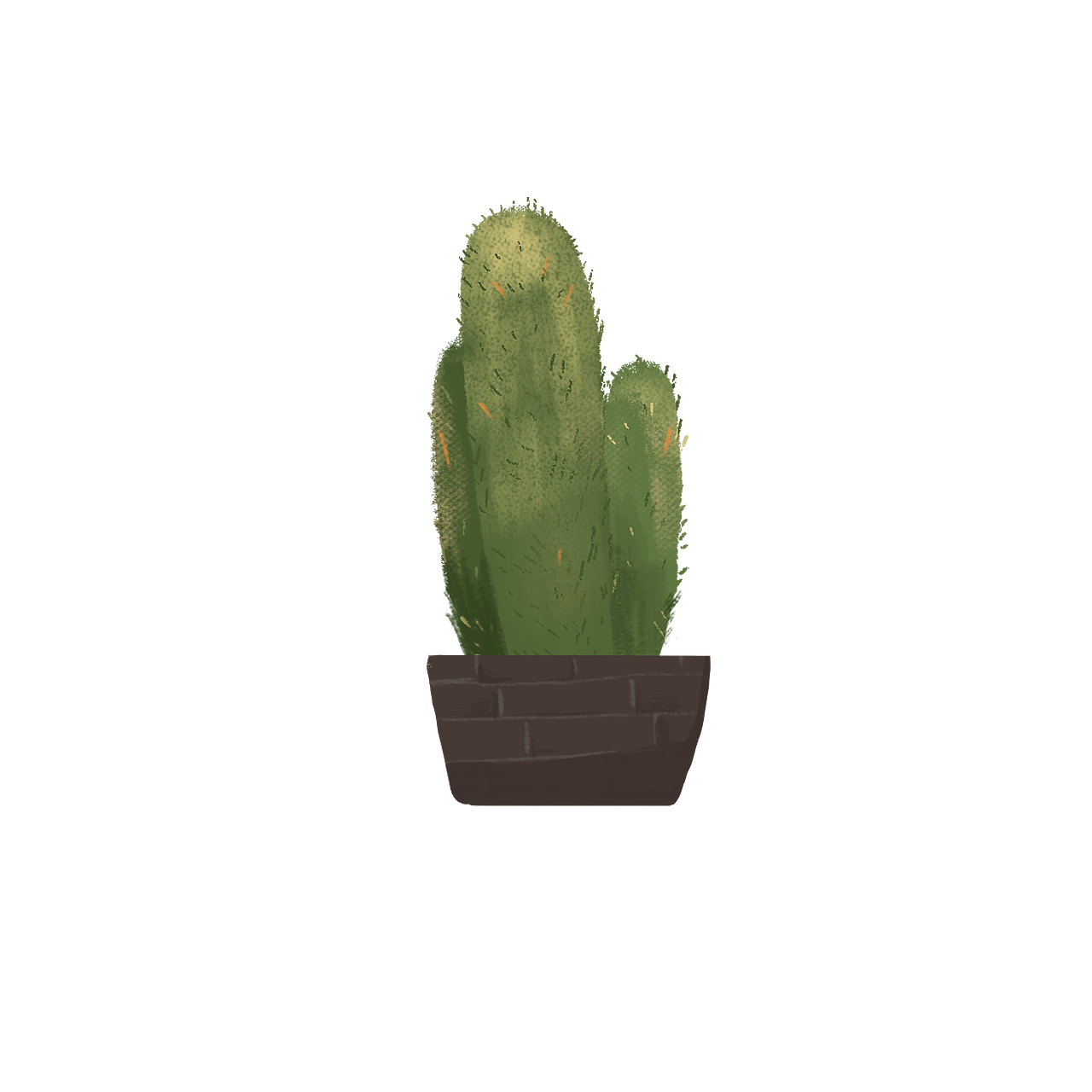 春天来了 你的小盆栽种起来了吗?