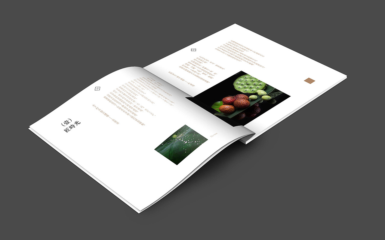 丰平控股集团宣传册