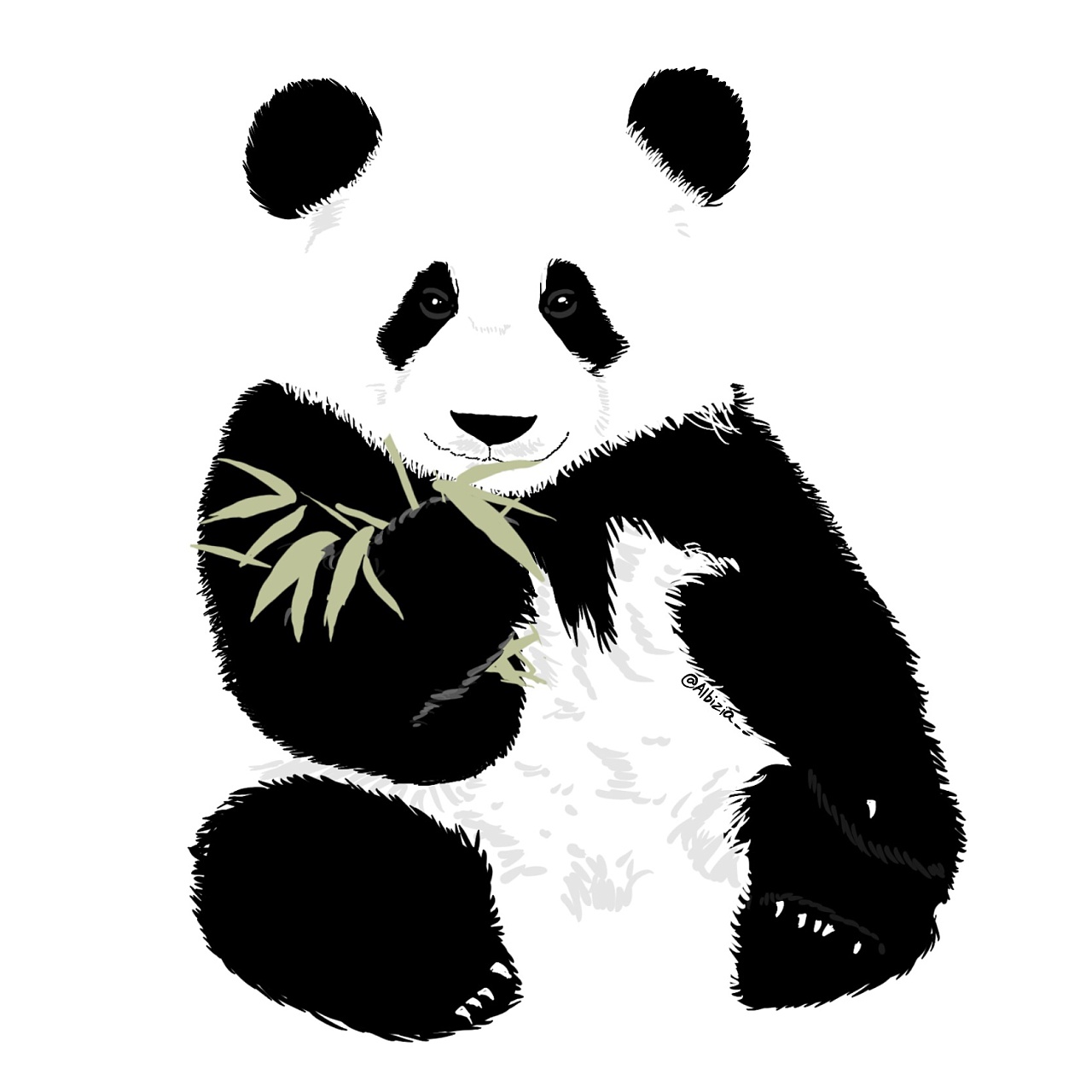 手绘大熊猫|插画|商业插画|雪儿冰清 - 原创作品 - 站酷 (ZCOOL)