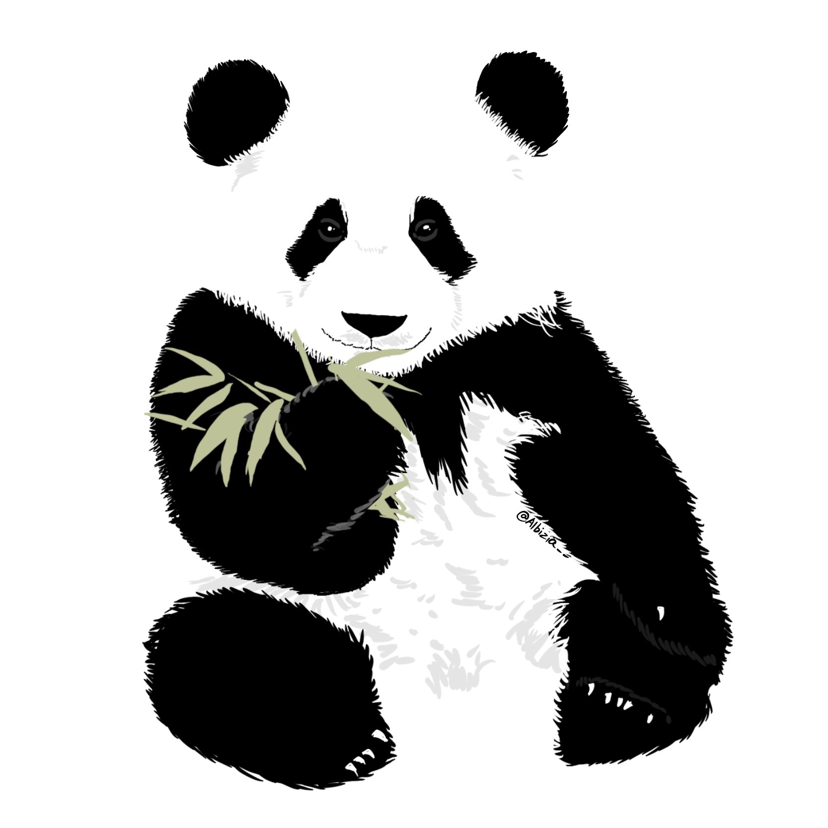大熊猫的生活|插画|儿童插画|hello春天 - 原创作品 - 站酷 (ZCOOL)