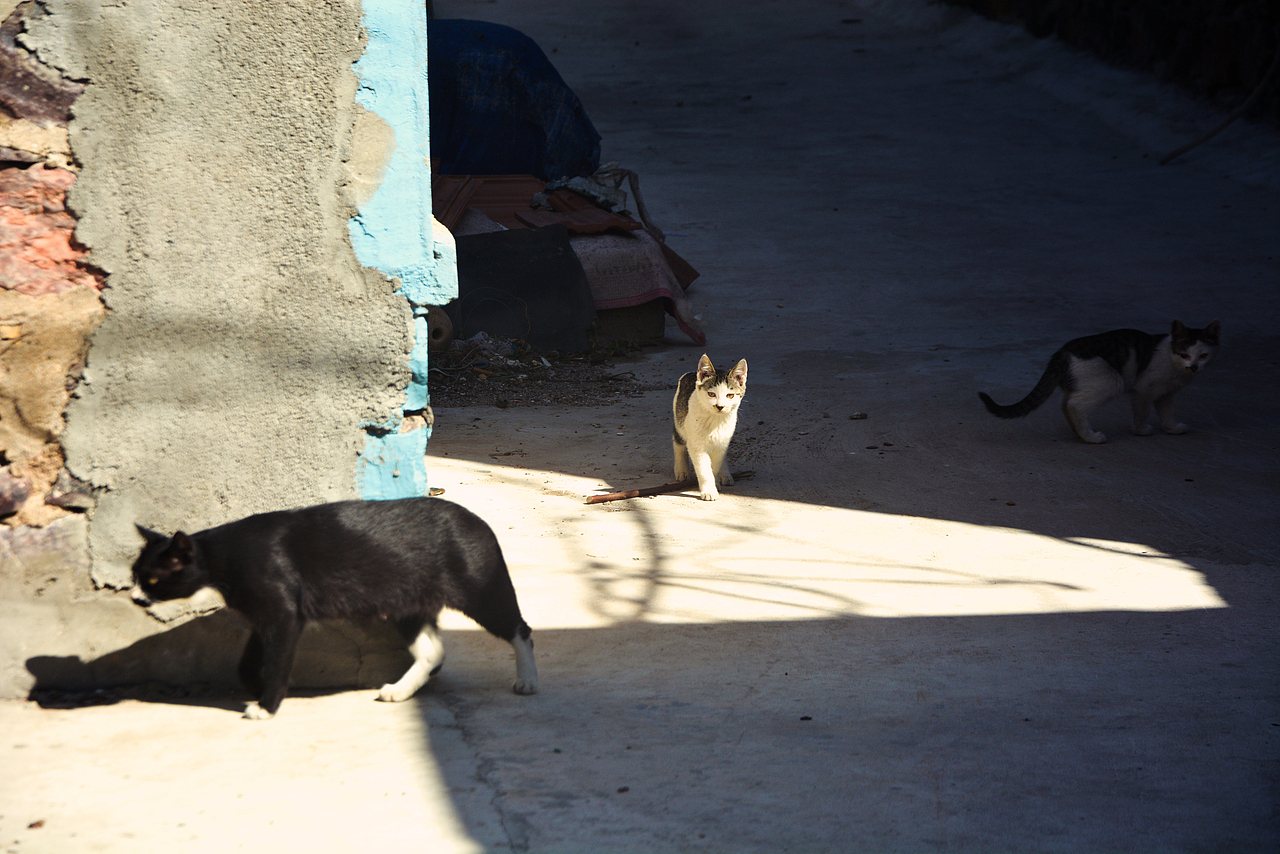 【A CAKE】摄影|蓬莱海岛-北隍城岛