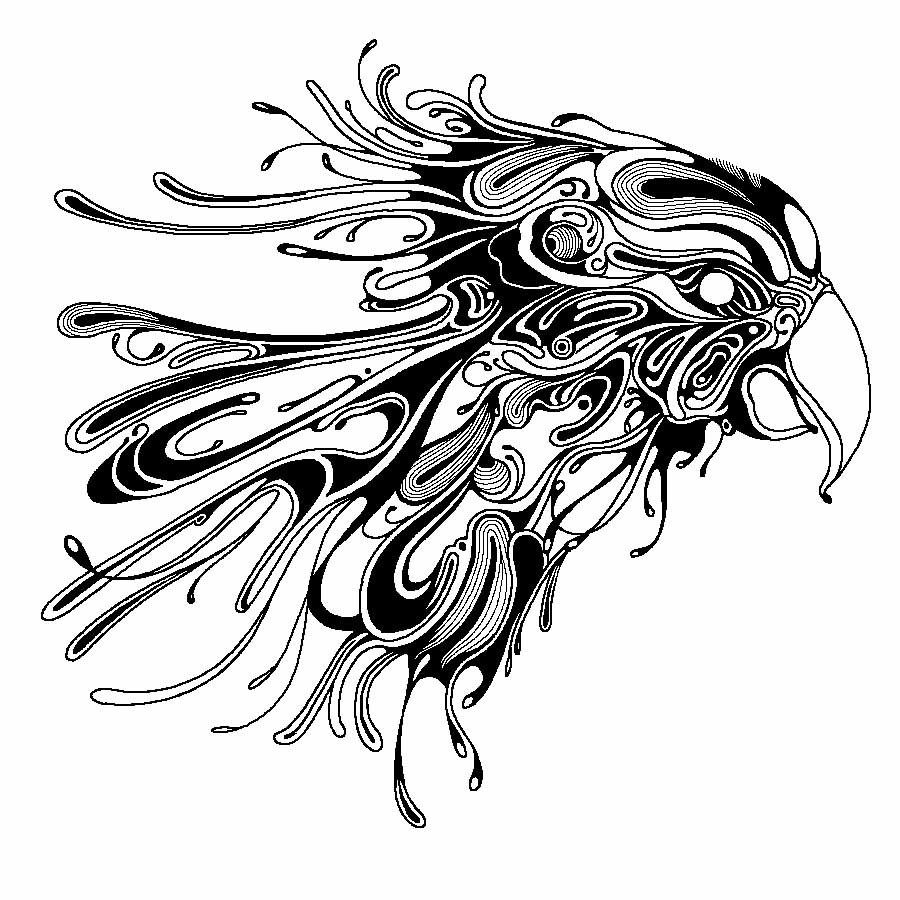 鹰|插画|其他插画|zhengyiyue - 原创作品 - 站酷 (zcool)