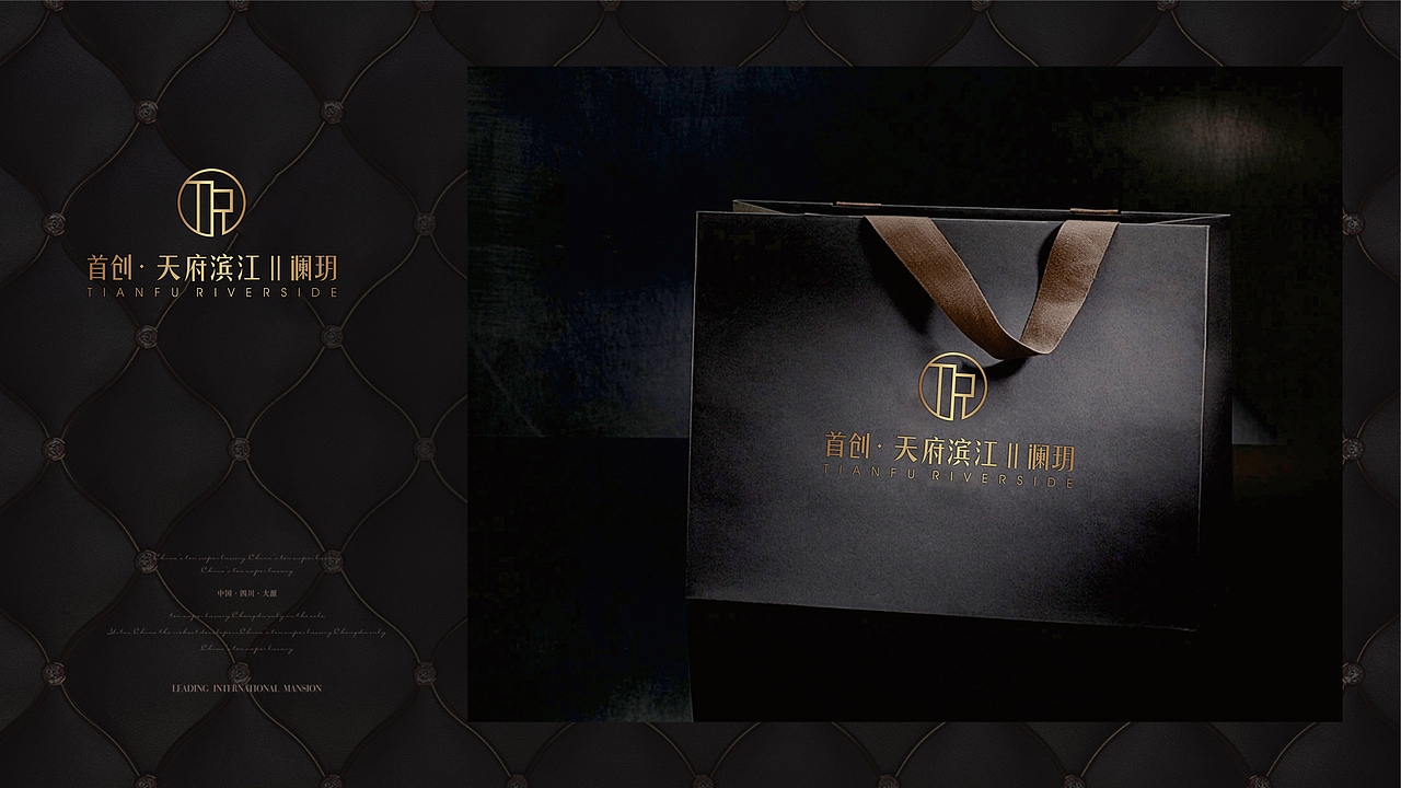 首创 天府滨江辅助提案两套