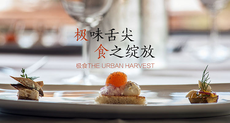 吃喝玩乐banner（图ZMjY3MDE2ODI0） - 海报 - 站酷设计师Lisa728原创素材 - 站酷ZCOOL