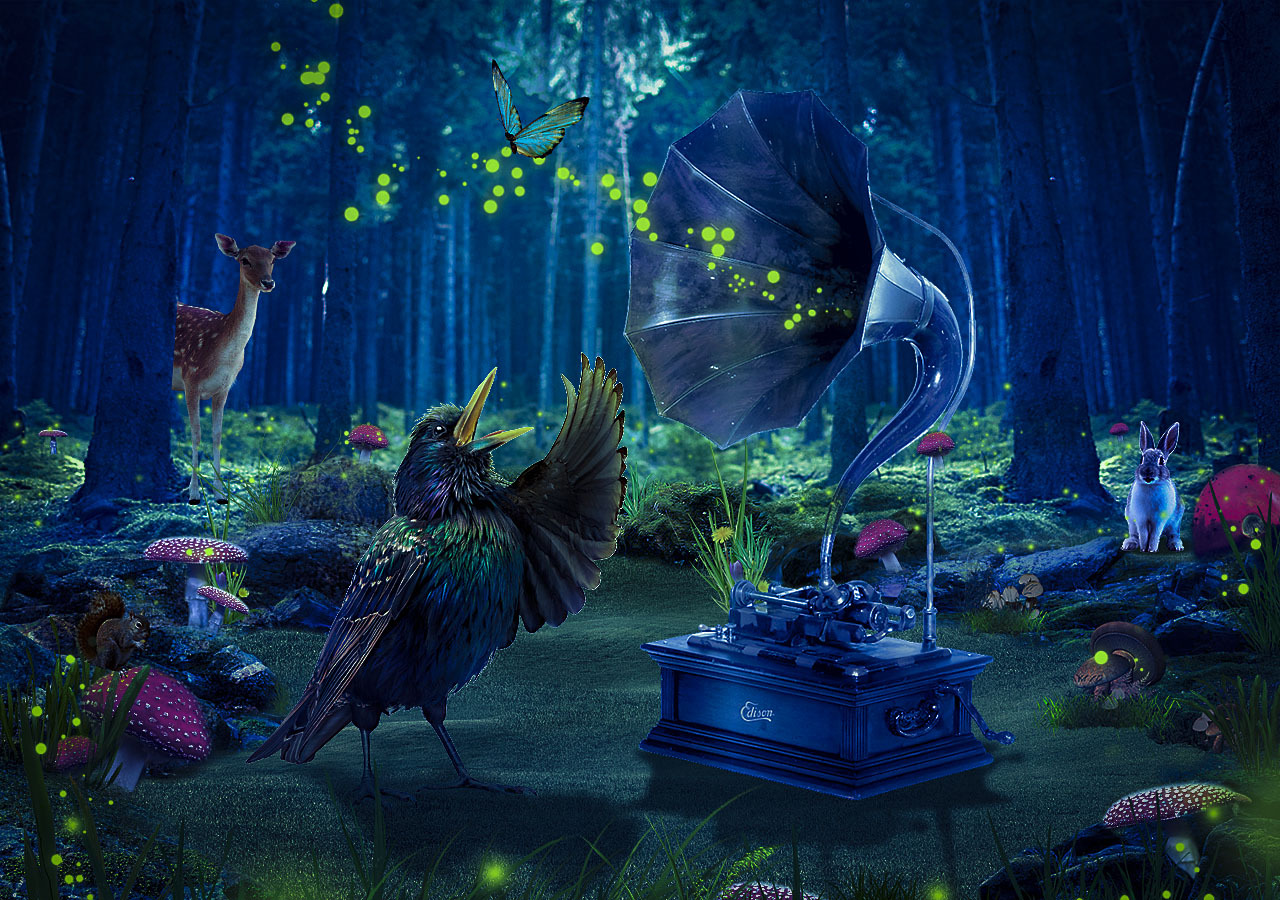 合成小练习【森林音乐会】