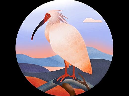 2019咕咚濒临动物插画奖章系列