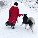 用戶頭像