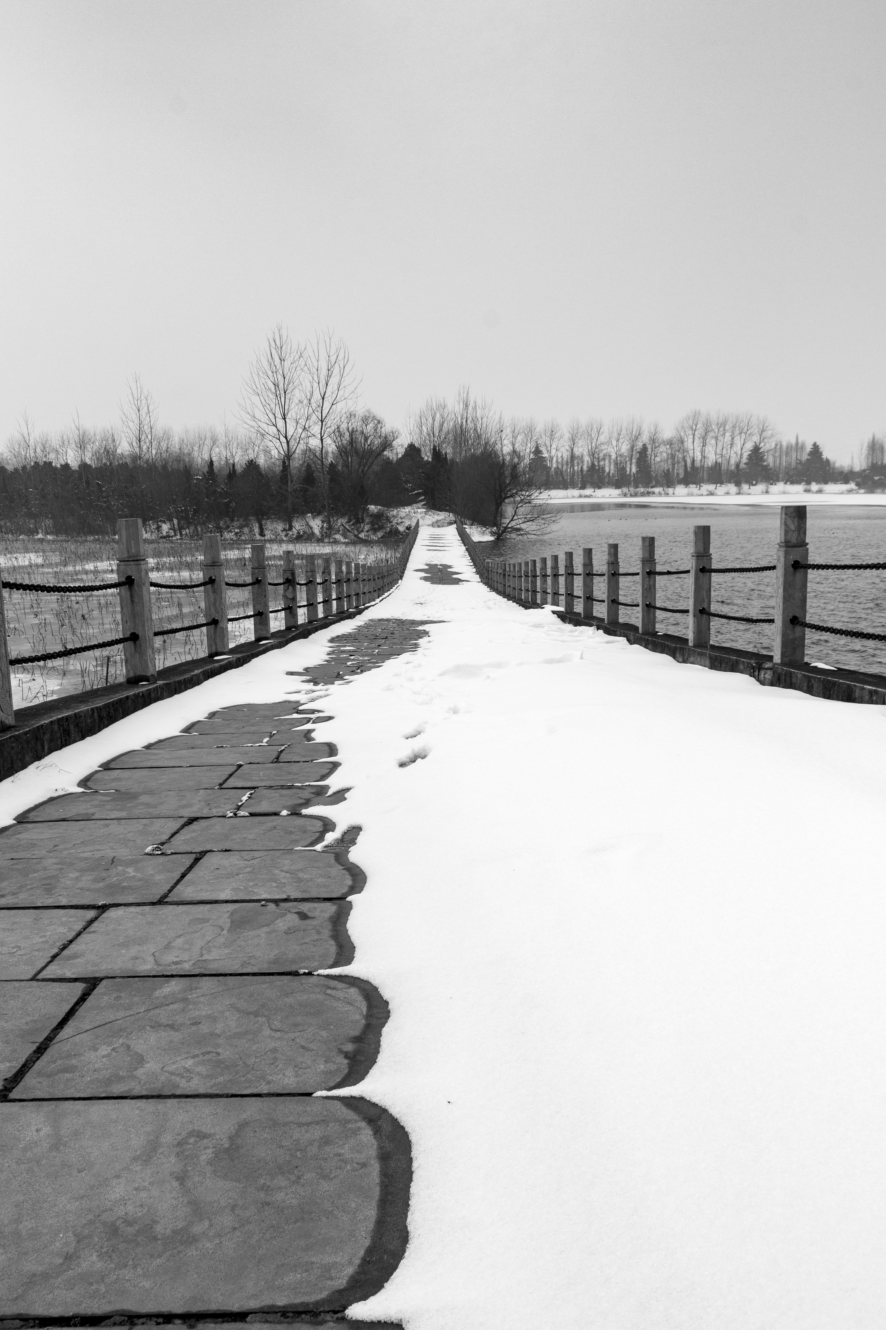 孤独的雪景图片唯美图片